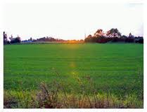 Rogation Service and Walk