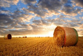 "First Sunday" Harvest Festival